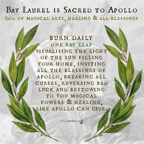 meaning of laurel.